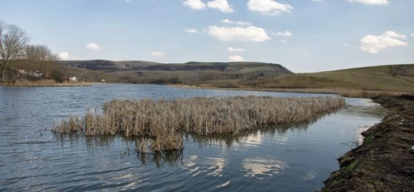 Descoperirea unui cadavru pe malul unui lac situat pe raza localității Chinteni. Poliția în alertă