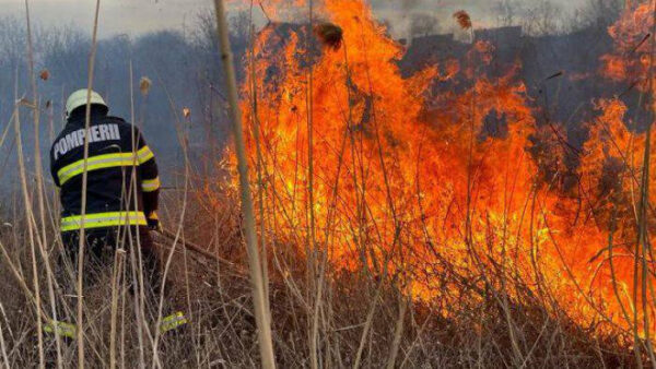 Incendiu de vegetație la Mărtinești