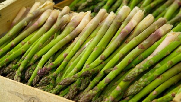 Nutriționiștii avertizează împotriva consumului de sparanghe