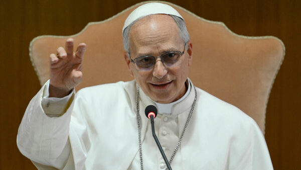 Papa Leon critică remarcile dure ale lui Trump despre Europa. Mesajul Suveranului Pontif