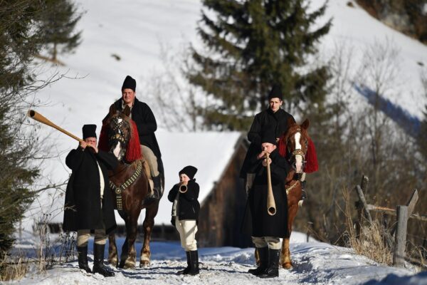 Poemul Zilei: Bucovina