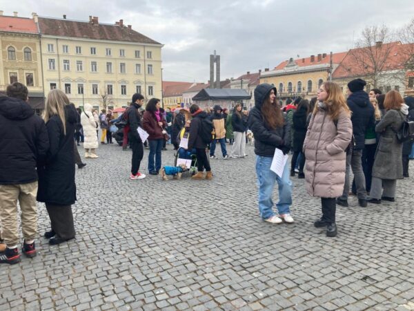 Zeci de persoane au protestat duminică în Piața Unirii împotriva modului în care statul gestionează problema animalelor fără stăpân
