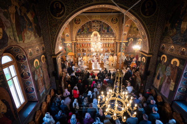 „Spovedania” unui împătimit