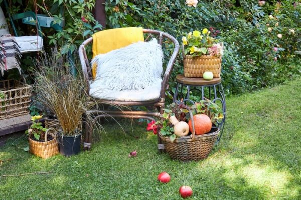 Decorațiuni de grădină pentru toate anotimpurile: cum să înfrumusețezi curtea pe tot parcursul anului
