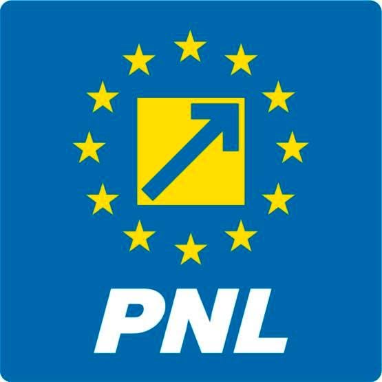 PNL Cluj nu susține un guvern condus de Adrian Veștea
