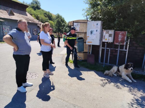 FOTO/ Acțiune comună la Băișoara privind gestionarea câinilor cu și fără stăpân în cadrul lotului 7 din județul Cluj