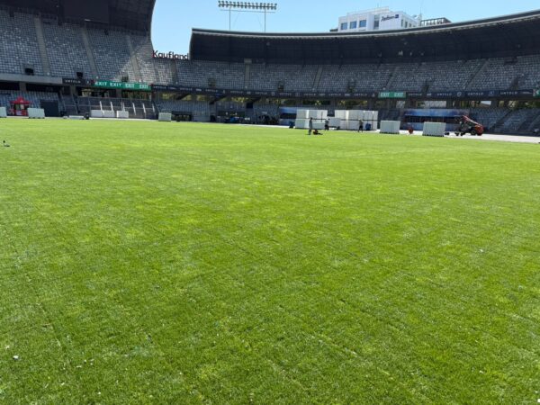 Alin Tișe: Gazonul Cluj Arena, impecabil după patru zile de festival Untold. Gata pentru meciurile de fotbal