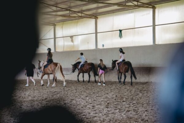 „Sport fără bariere”, o nouă ediție încheiată la Cluj