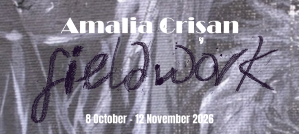 Exhibition Opening – Fieldwork by Amalia Crișan la Cluj-Napoca