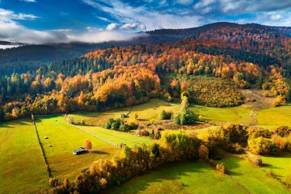 Poemul Zilei: A treia grație