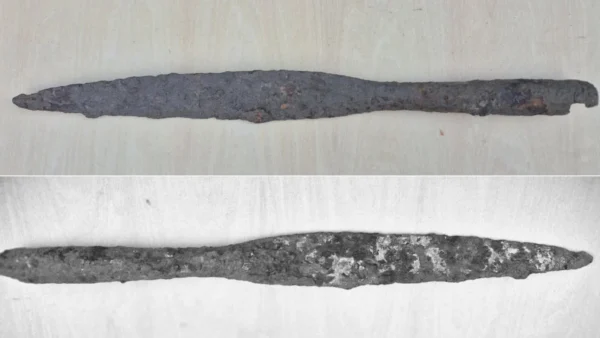 Arheologii au descoperit un vârf de lance dacică păstrat integral, vechi de peste 2.000 de ani. Puterea geto-dacilor