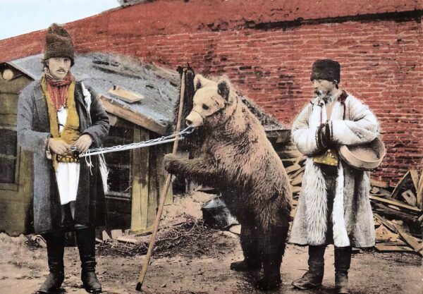 Actualitatea tragică a poeziei „Dansează ursul românesc” de Mihai Beniuc: ursul totemic românesc, încătușat de noii „boieri”
