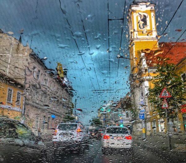 Poemul Zilei: Lacustră